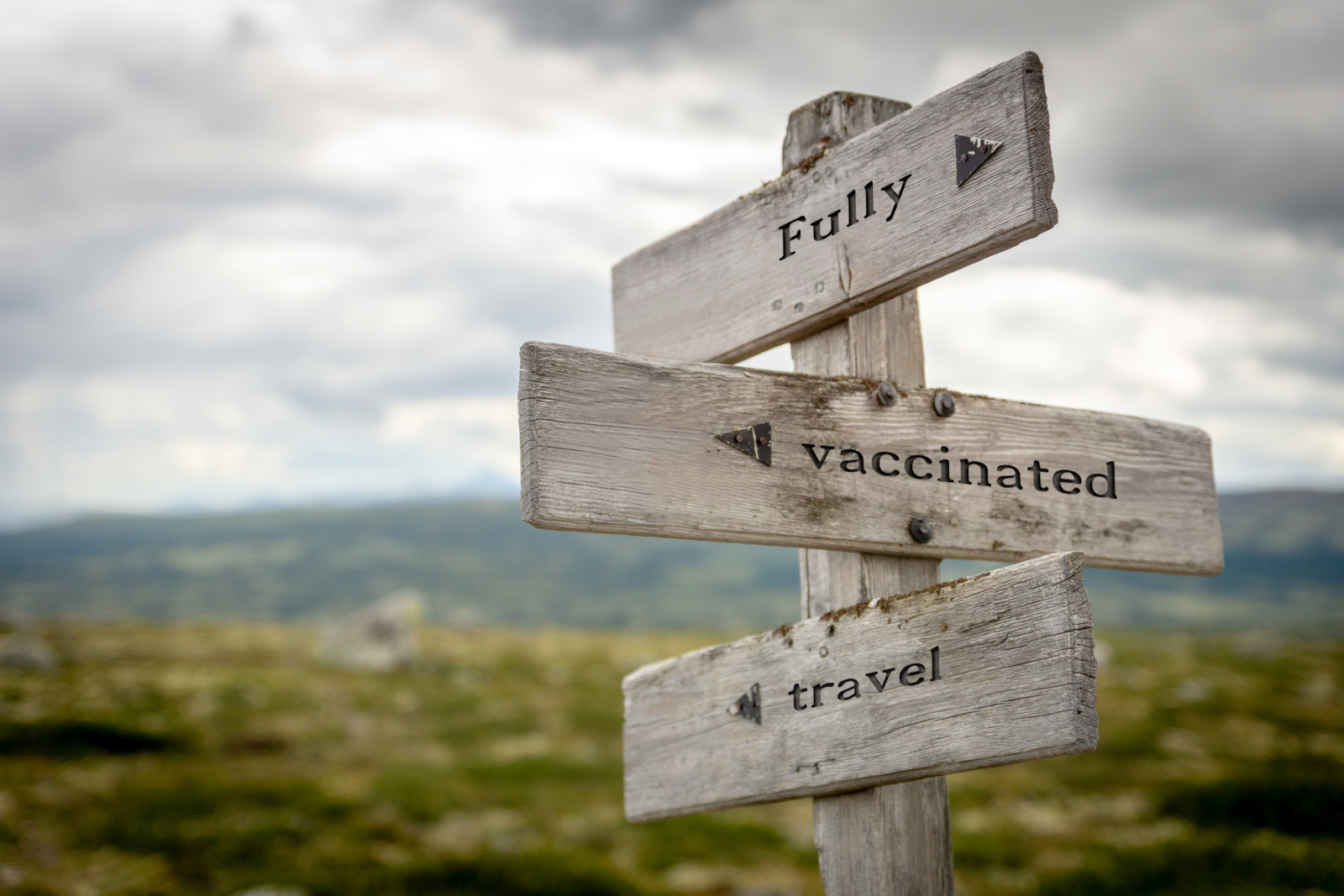 Travel Vaccines